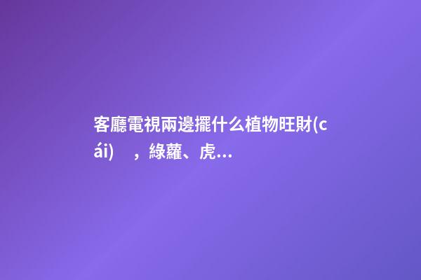 客廳電視兩邊擺什么植物旺財(cái)，綠蘿、虎皮蘭、發(fā)財(cái)樹(shù)